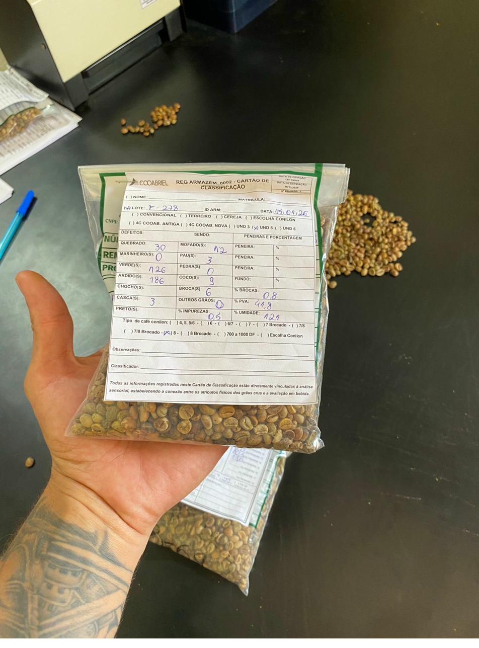 Conilon Classification Card — Safra 2025, Cooperative Storage