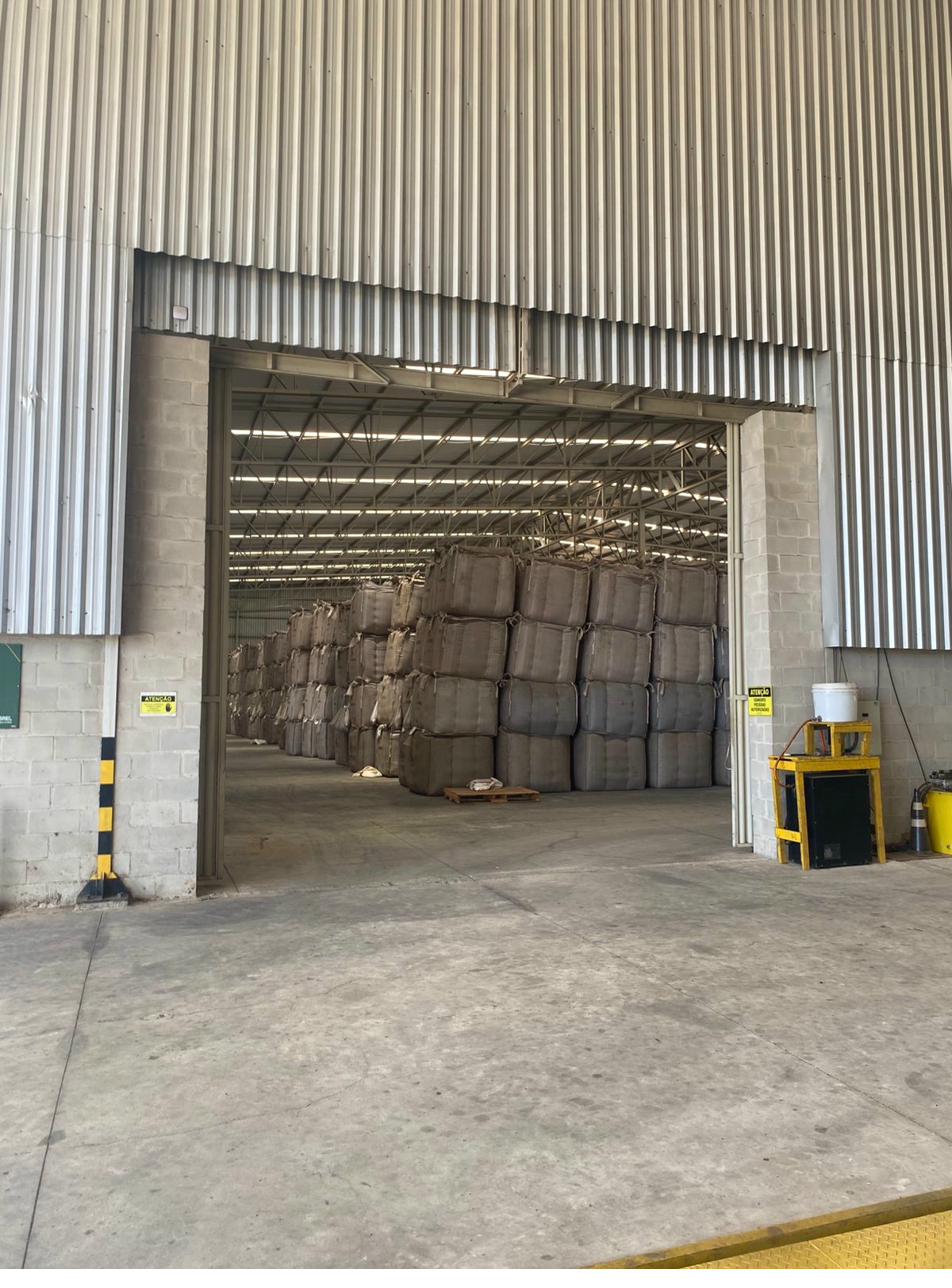 Conilon Robusta Coffee Bags at Cooperative Storage — Safra 2025